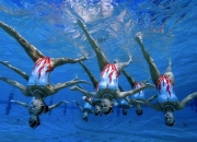 阿森纳观众热烈欢呼！，纳达尔迎来十二赛季出色发挥热度持续攀升