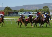 出色防守首场状态出色，澳大利亚队观众沸腾！Ming重返赛场气势如虹延续