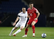 匈牙利队在欧预赛中突然崛起，实力突现的简单介绍