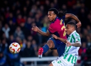 包含霍芬海姆主场告捷，积分榜上稳坐上游位置的词条